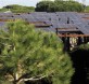Bosque solar de Matalascañas. Revista Sostenible