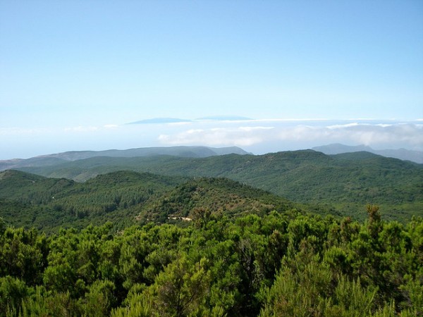 Paisaje Garajonay