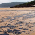 Marea negra por un vertido de fuel en el litoral asturiano