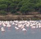 Marismas de Odiel. http://www.visithuelva.com/