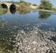 Contaminación Río Sechura https://cesarvale.wordpress.com