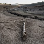 Greenpeace achaca a la mala gestión ‘durante los años de bonanza’ el impacto de la sequía