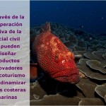 Sostenibilidad participativa de los recursos marinos con fines ecoturísticos