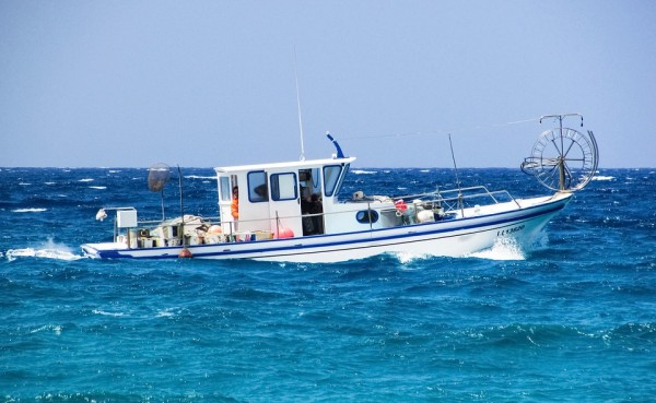  Sobrepesca en el Mediterráneo