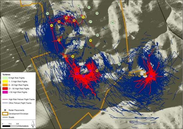 Registro de radar de los vuelos de pelicano común en la zona de estudio y análisis de las áreas de riesgo de colisión. Fuente: Jenkins et al. 2018. PLoS ONE 13(2): e0192515.
