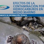 Efectos de la contaminación por hidrocarburos en el medio marino
