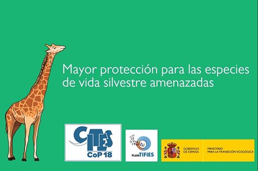 COP18