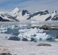 especies invasoras en la antártida