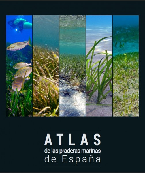 atlas praderas marinas españa