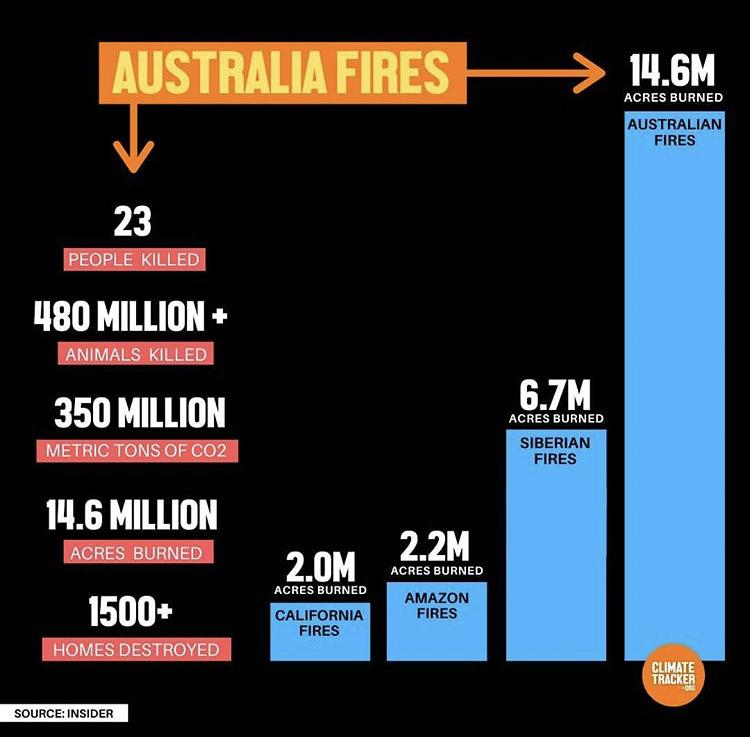 cifra de los incendios en australia