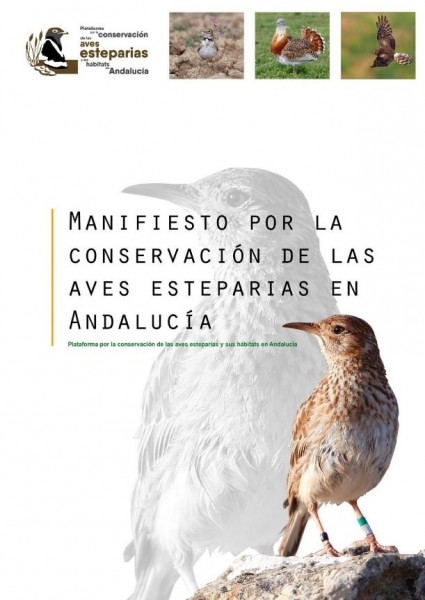manifiesto por la conservación aves esteparias en andalucia