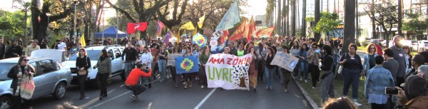 Manifestación por la política ambiental de Brasil y por la protección de la Amazonia
