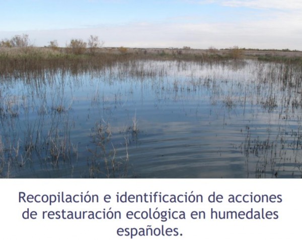 Recopilación e identificación de acciones de restauración ecológica en humedales españoles