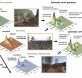 Efectos del fuego y de las prácticas de restauración del bosque en la composición molecular de la materia orgánica del suelo. MNCN