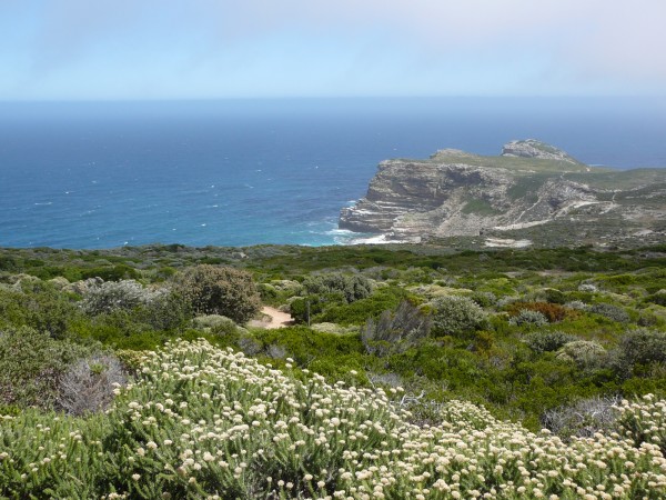  Región Florística del Cabo en Sudáfrica
