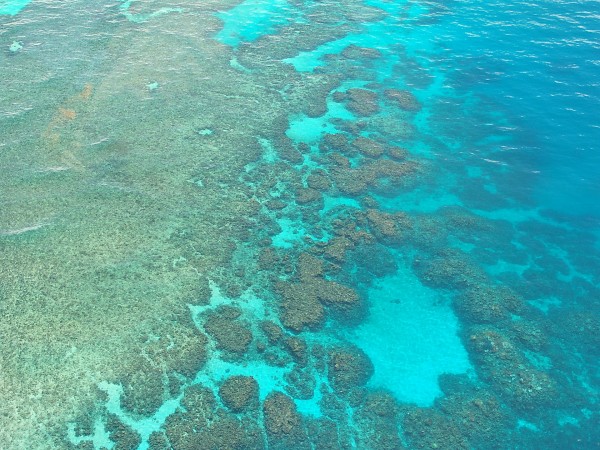 gran barrera de coral