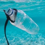El Parlamento pide medidas urgentes en la UE para reducir los residuos marinos