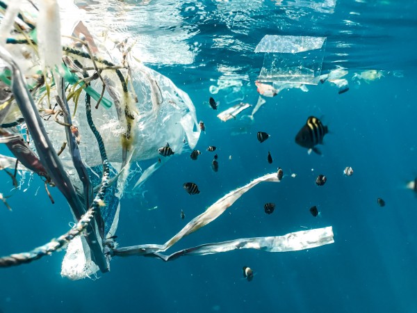 basura marina plástico