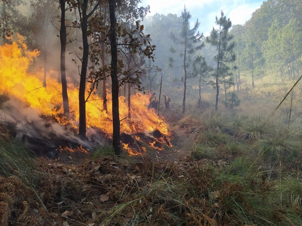 incendio forestal