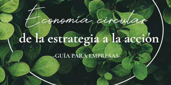 wasguia-ayudar-empresas-implementar-estrategias-economia-circular