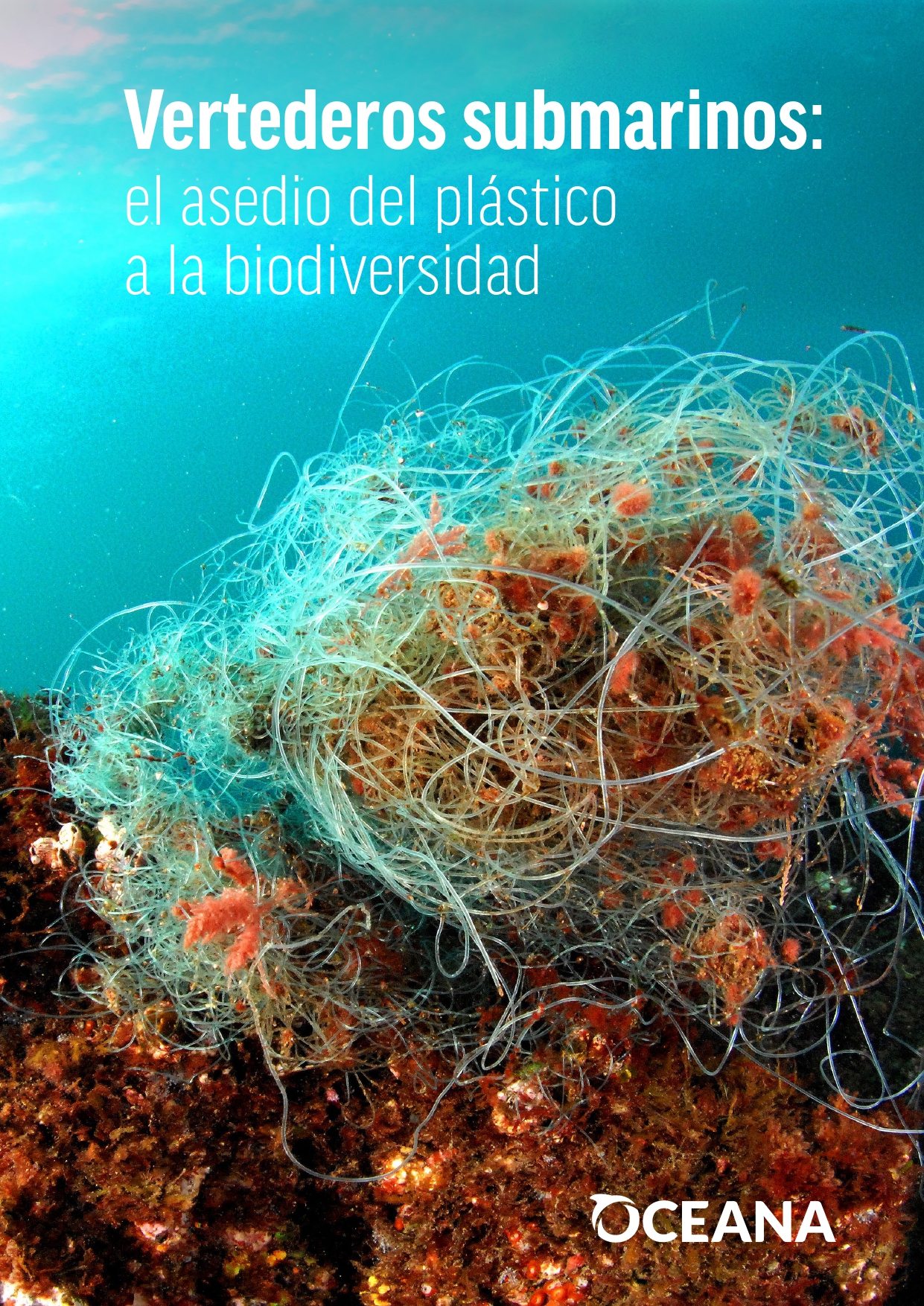 vertederos_submarinos_el_asedio_del_plastico_a_la_biodiversidad_