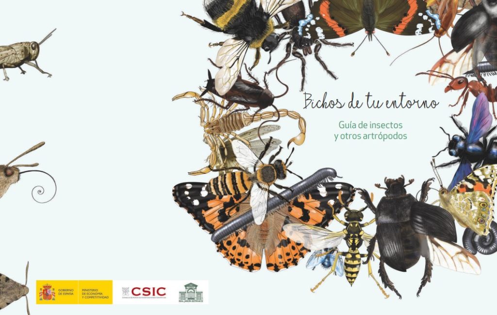 Bichos de tu entorno: Guía de insectos y otros artrópodos