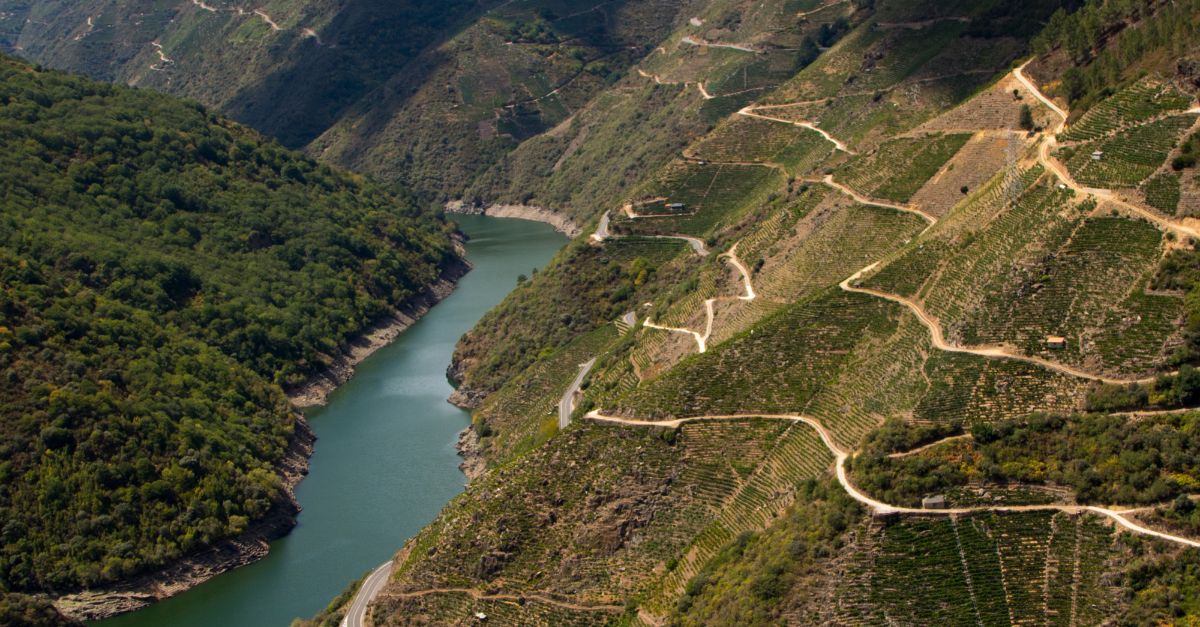 NOTICIA restauración de rios