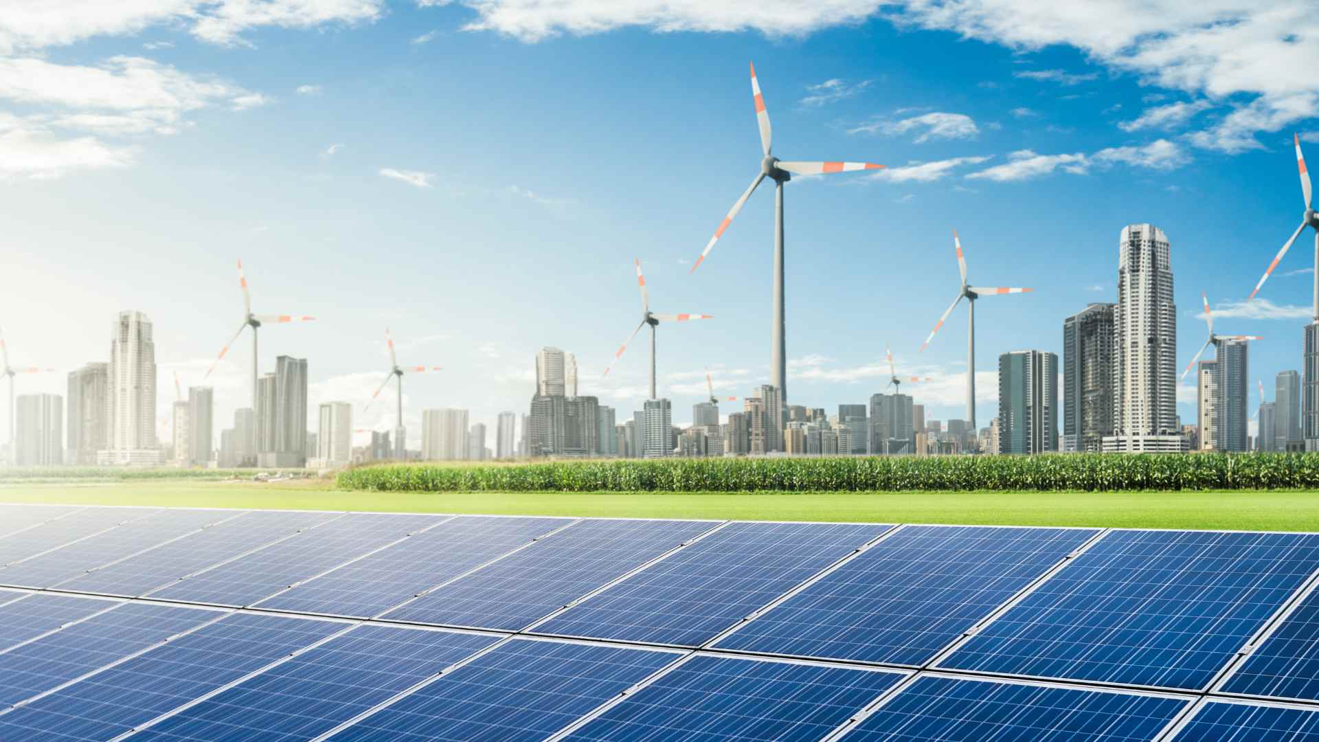 Impacto renovables evento