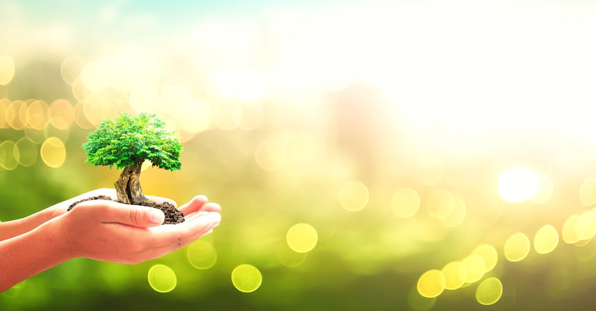 soluciones basadas en la naturaleza