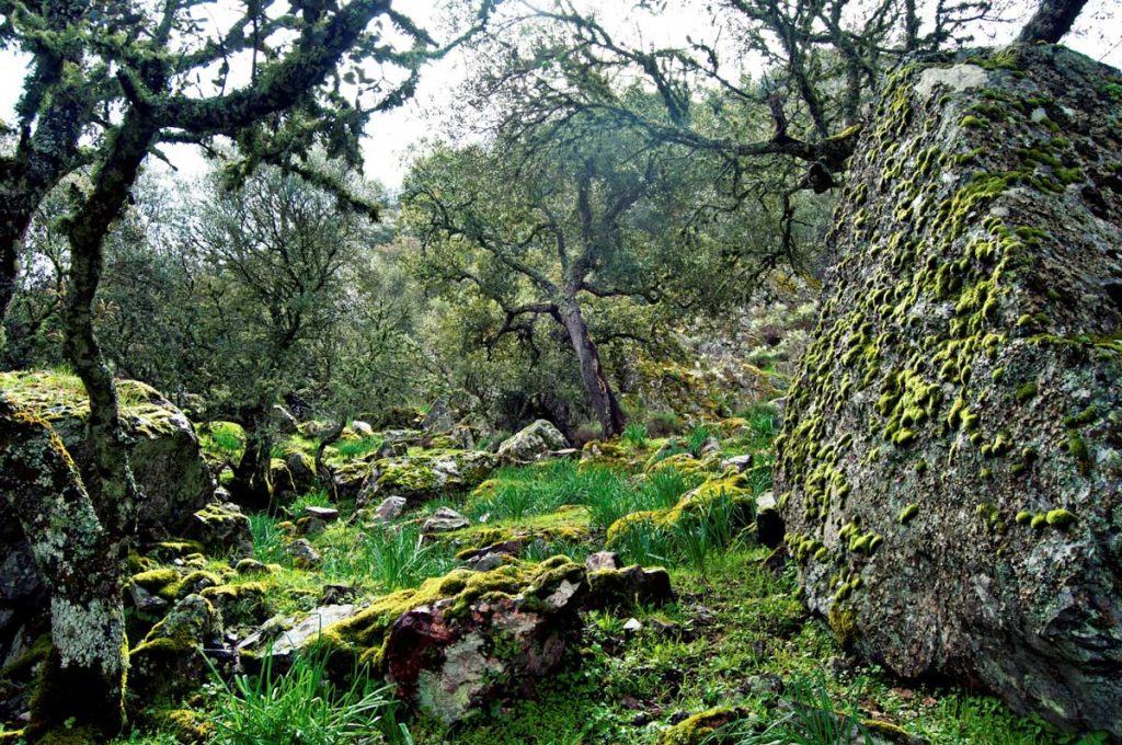 Gestión Espacios Naturales Protegidos