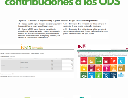 La importancia de los indicadores para afirmar que una organización contribuye a determinadas metas y ODS