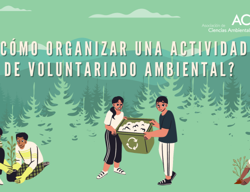 ¿Qué factores debemos tener en cuenta antes de realizar una actividad de voluntariado ambiental?