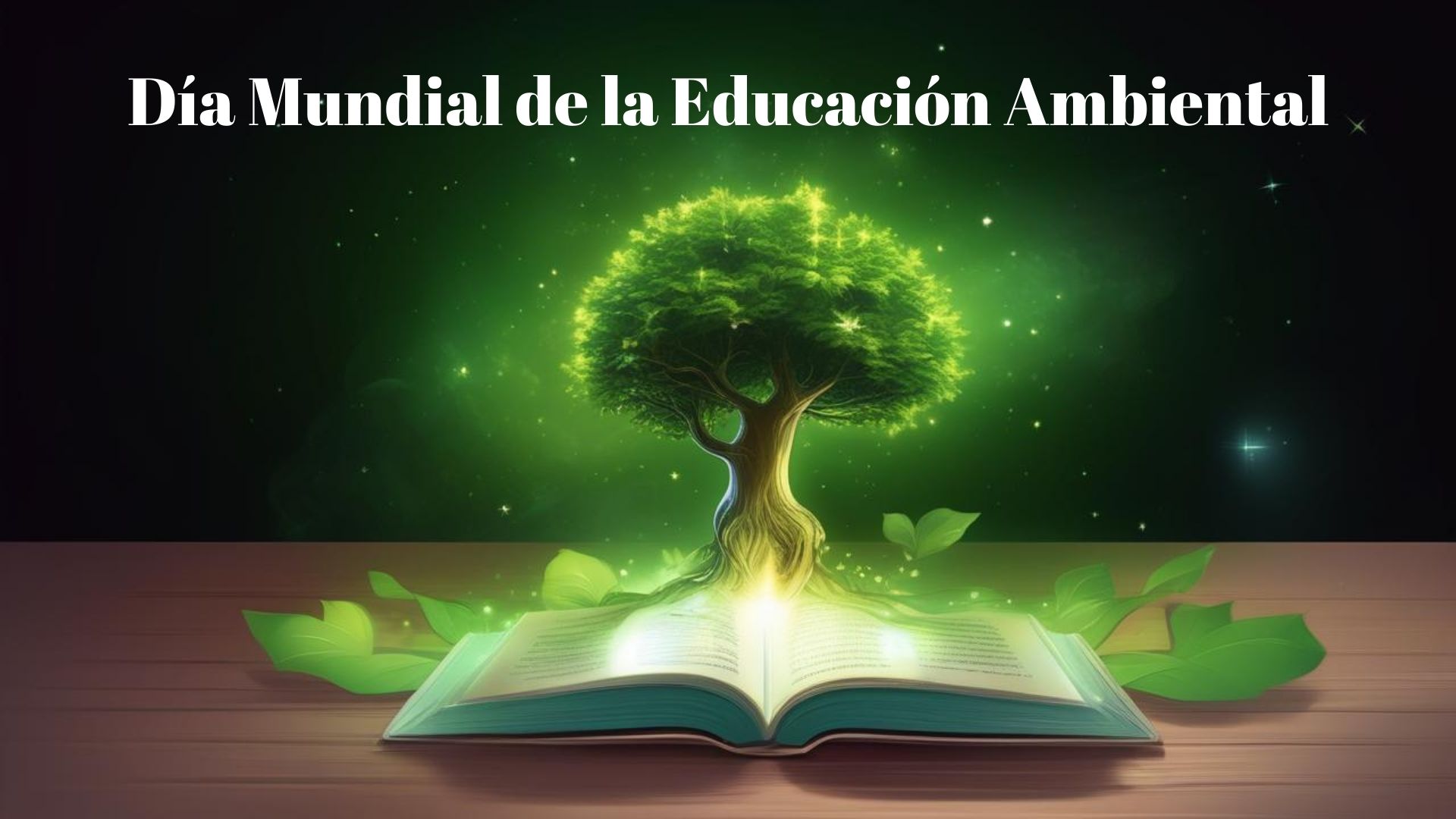 dia mundial de la educacion ambiental
