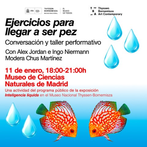 ejercicios para llegar a ser pez