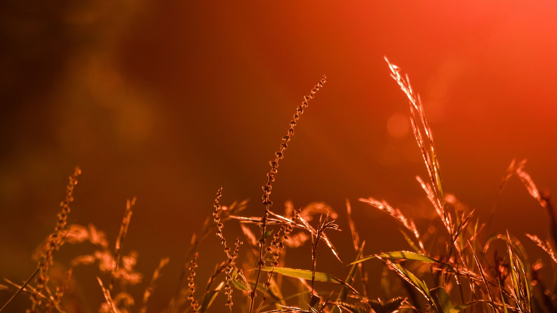 agenda de ocio junio
