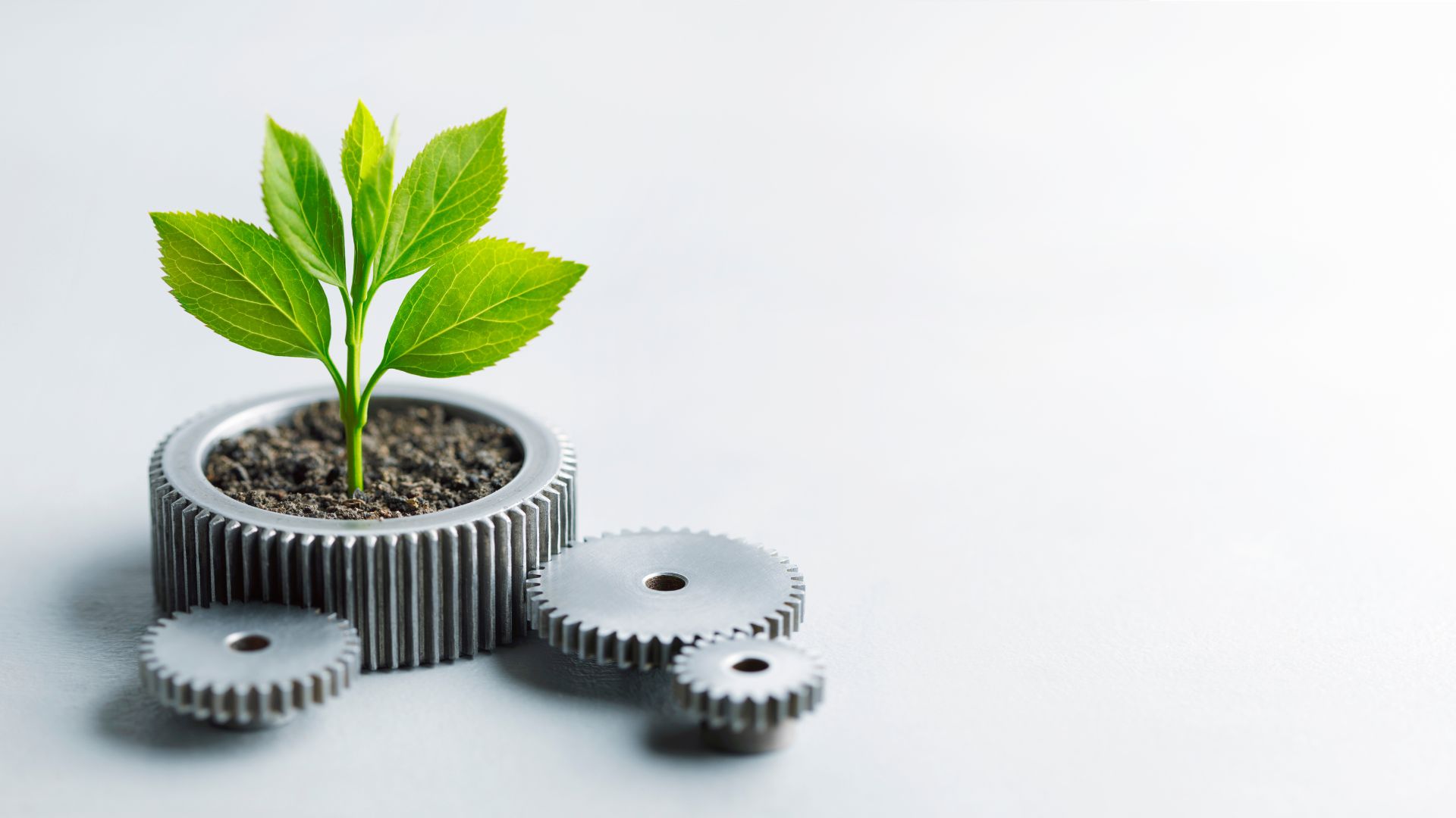 Ómnibus paquete simplificador sostenibilidad empresarial