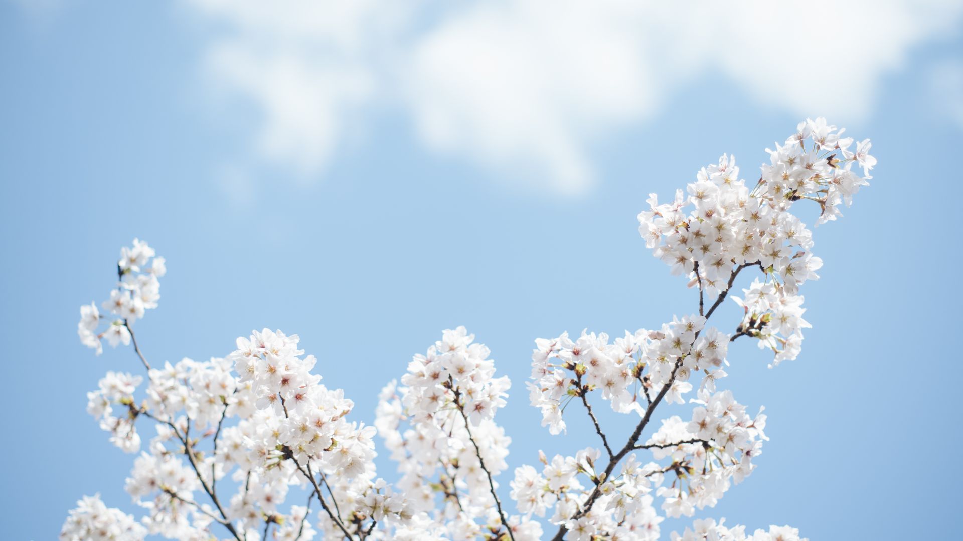 Agenda de Ocio Ambiental 23 - 25 de Mayo