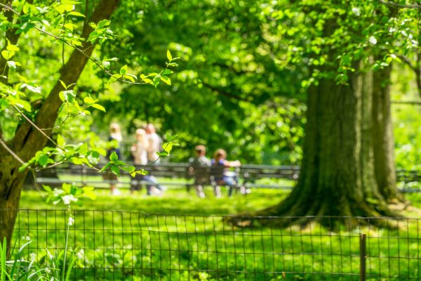 renaturalización de ciudades