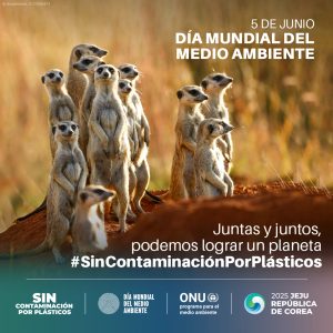 Día Mundial del Medio Ambiente 2025