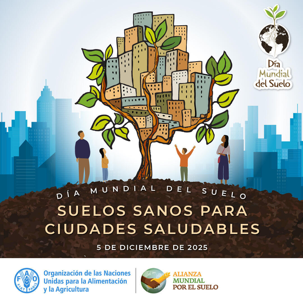 Dia mundial del suelo 2025