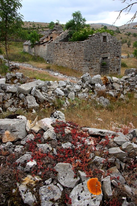 ejemplos paisajes resilientes