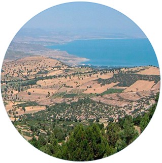 como debe ser un paisaje resiliente