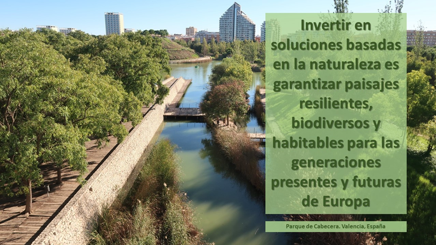 soluciones basadas en la naturaleza paisaje