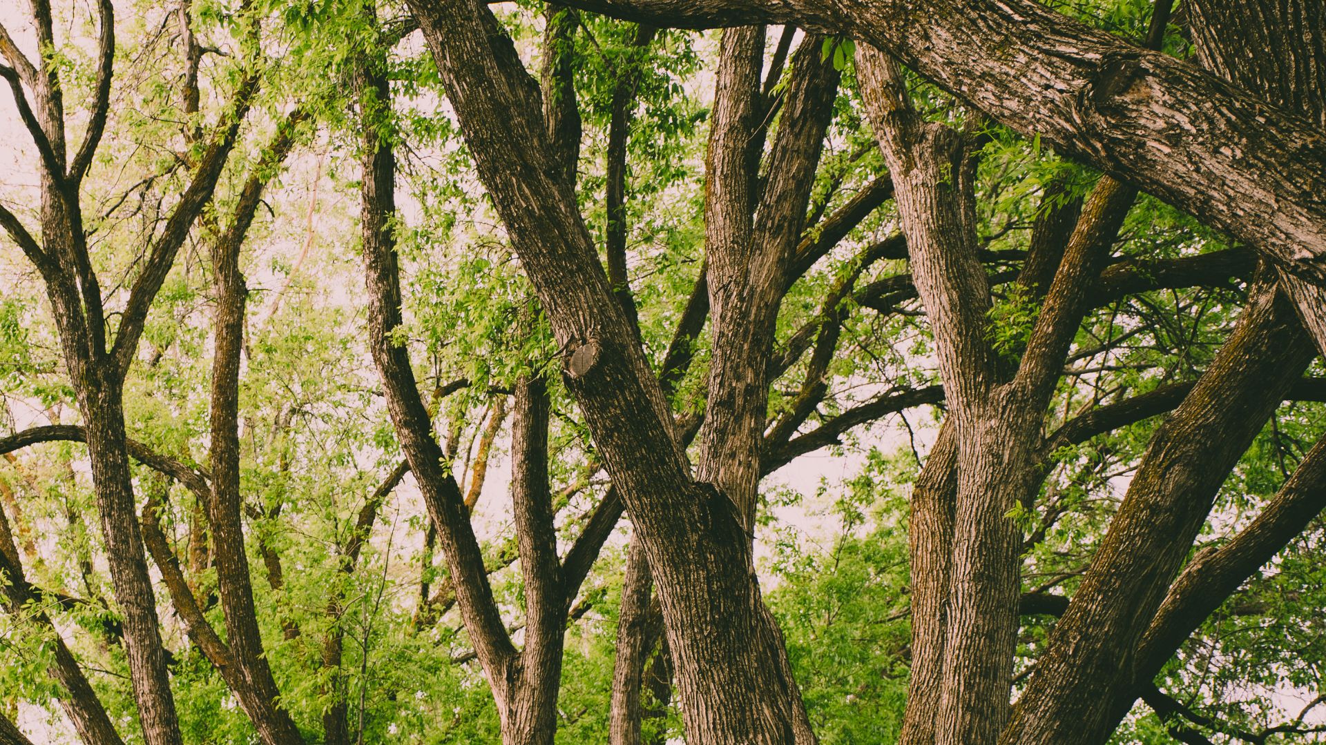 actividades fin de semana 28-30 de Noviembre