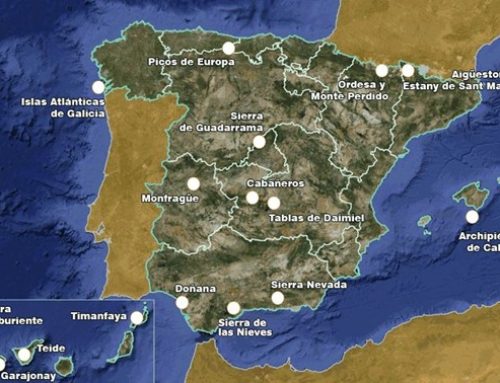 Un Parque Nacional, un ave (Parte 2)