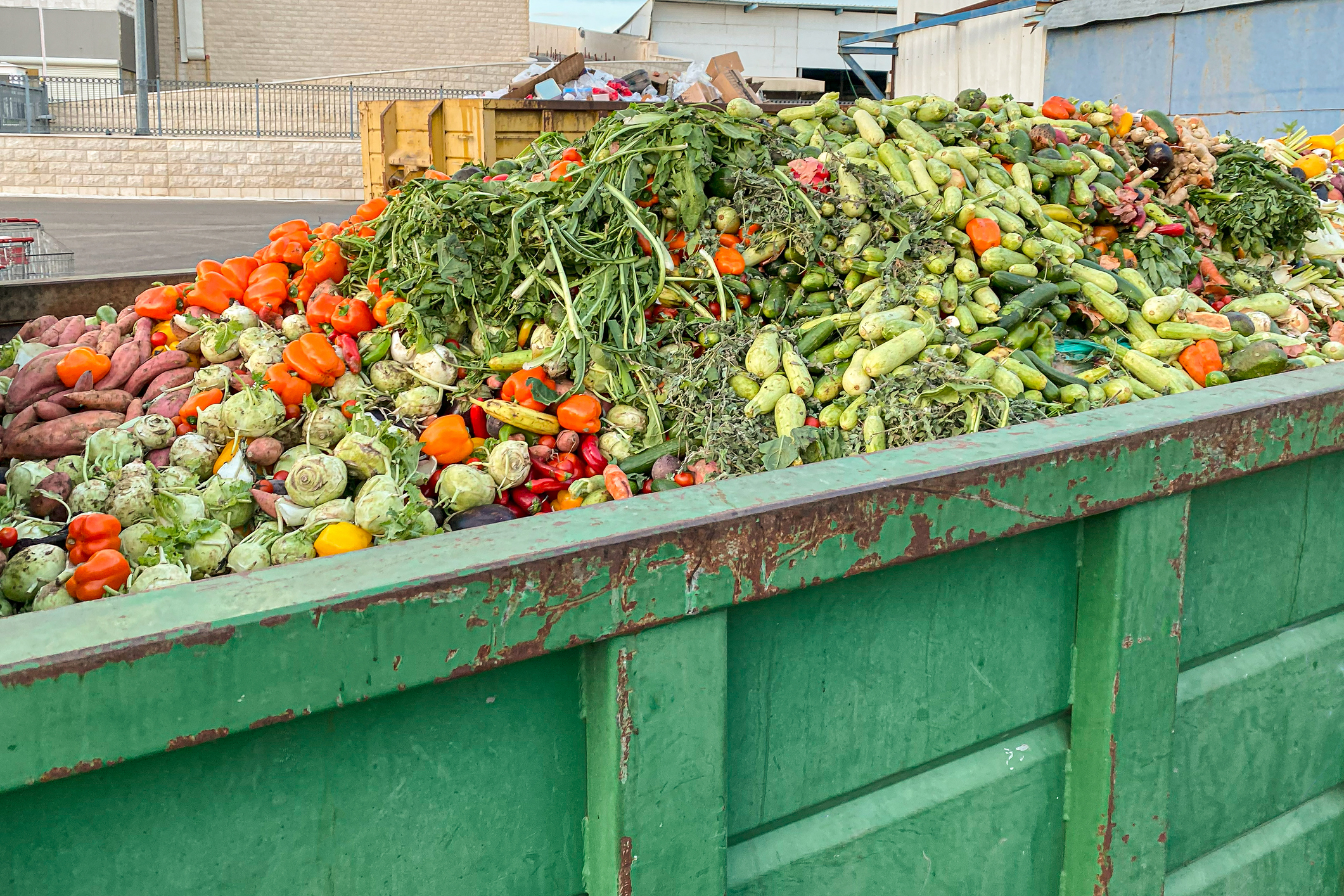 elevado precio medioambiental del descarte de frutas y hortalizas