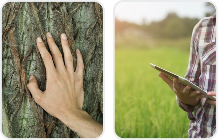 retos de la ia educacion ambiental