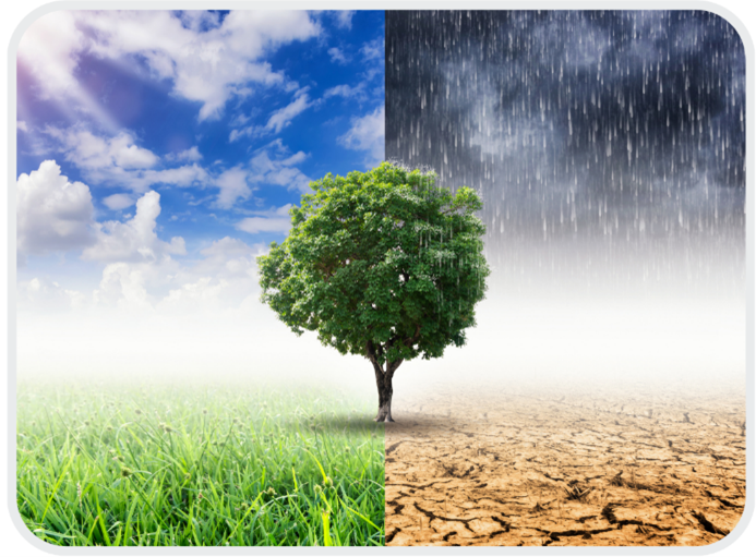 retos y oportunidades ia educacion ambiental