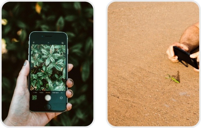 uso ia para educacion ambiental