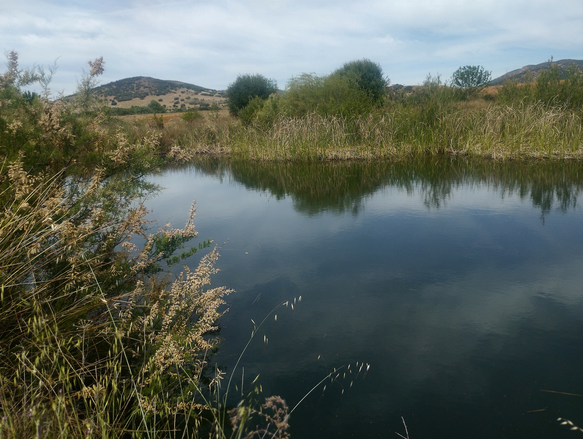 Día Mundial de los Humedales